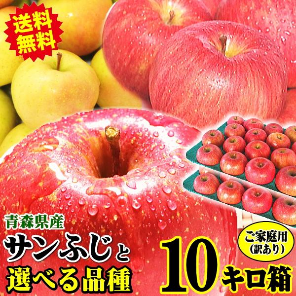 りんご 10kg箱 家庭用/訳あり 青森 リンゴ 10キロ箱 サンふじと選べる品種 送料無料【家庭用...