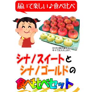 りんご 10kg箱 家庭用/訳あり シナノスイ...の詳細画像3