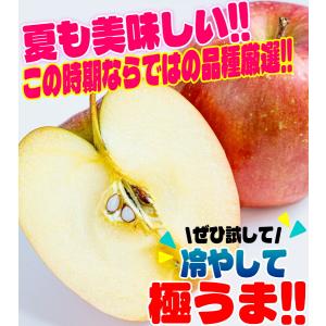 りんご 10kg箱 家庭用/訳あり シナノスイ...の詳細画像2