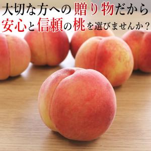 早割で4280円!糖度13%以上 桃 もも 福...の詳細画像2
