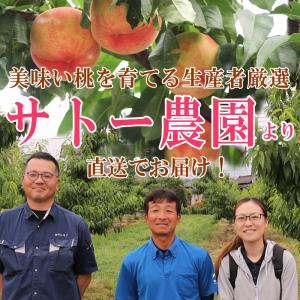 早割で4280円!糖度13%以上 桃 もも 福...の詳細画像3