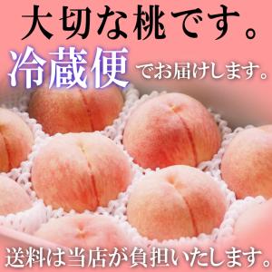 早割で4280円!糖度13%以上 桃 もも 福...の詳細画像5