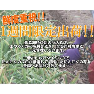 クーポンで1780円!青森県産 にんにくの芽 ...の詳細画像5