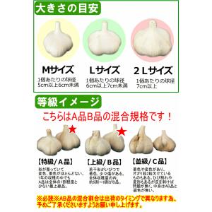 新物!にんにく 青森 1kg Mサイズ厳選 A...の詳細画像4