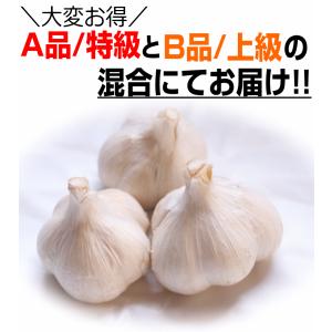 新物!にんにく 青森 1kg Mサイズ厳選 A...の詳細画像1