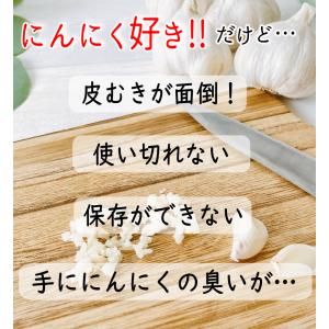 にんにく 青森 スライス乾燥 たっぷり100g...の詳細画像3