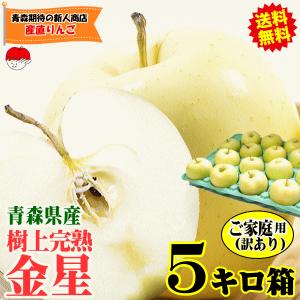 ただ今サンふじ・モールド詰めとなります】青森りんご 送料無料 超訳