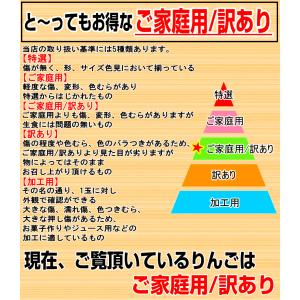青森 りんご 10kg箱 小トキ 送料無料 サ...の詳細画像5
