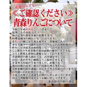 青森 りんご 10kg箱 小トキ 送料無料 サ...の詳細画像4