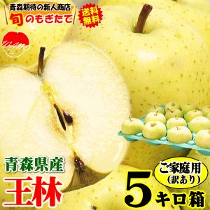 青森 りんご 5kg箱 王林  クール便 家庭用/訳あり リンゴ
