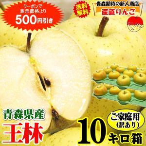 青森りんご 送料無料 訳ありりんごサンふじ10kg（10キロ）28〜40玉