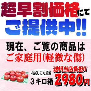 クーポンで10%引き!青森 りんご 3kg箱 ...の詳細画像3