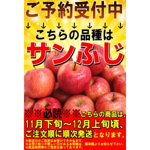 クーポンで10%引き!青森 りんご 3kg箱 ...の詳細画像2