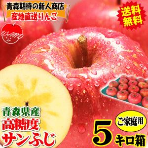 クーポンで表示価格より200円引き！りんご 5kg箱 あすつく 青森 高糖度ふじ ご家庭用 リンゴ ...