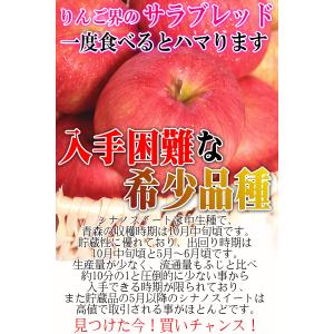 クーポンで10%引き!即日発送!りんご 5kg...の詳細画像2