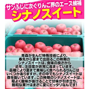クーポンで10%引き!即日発送!りんご 5kg...の詳細画像5
