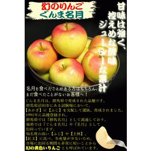 クーポンで10%引き!りんご 3kg箱 ぐんま...の詳細画像4