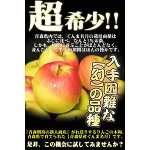 クーポンで10%引き!りんご 3kg箱 ぐんま...の詳細画像5