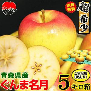 あすつく 青森 りんご 5kg箱 ぐんま名月 送料無料 家庭用/訳あり 青森 リンゴ 訳あり 5キロ箱★名月 家訳 5kg箱｜青森期待の新人商店