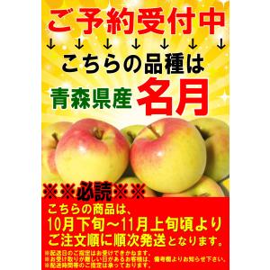 クーポンで10%引き!りんご 5kg箱 ぐんま...の詳細画像2