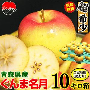 あすつく 青森 りんご 10kg箱 ぐんま名月 送料無料 家庭用/訳あり 青森 リンゴ 訳あり 10キロ箱★名月 家訳 10kg箱