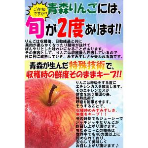 4980円⇒4680円!りんご 10kg箱 ぐ...の詳細画像3