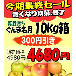 4980円⇒4680円!りんご 10kg箱 ぐ...の詳細画像2