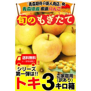 クーポンで100円引き!青森 りんご 3kg箱...の詳細画像1
