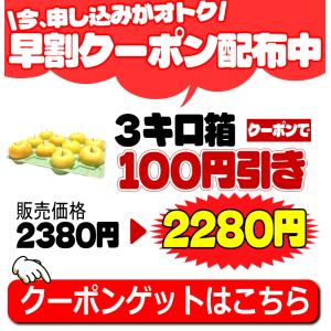 クーポンで100円引き!青森 りんご 3kg箱...の詳細画像3