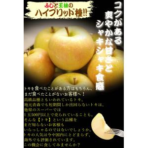 クーポンで100円引き!青森 りんご 3kg箱...の詳細画像4
