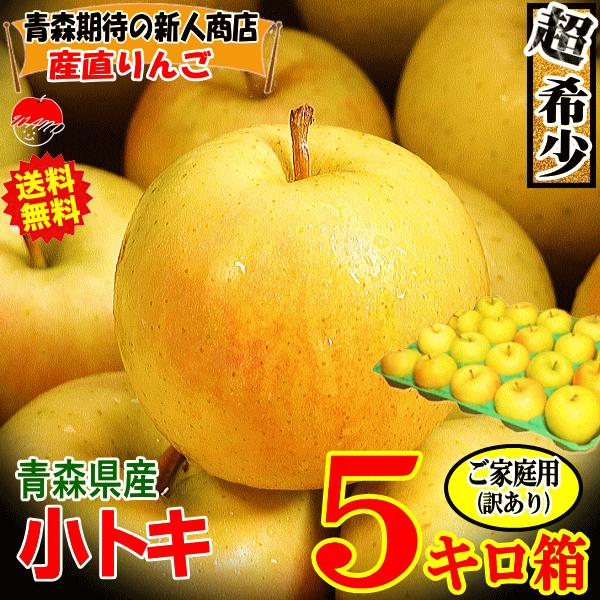 青森 りんご 5kg箱 小トキ 送料無料 サンふじと王林の交配種 家庭用/訳あり 23玉〜 青森 リ...