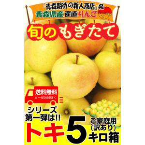 クーポンで200円引き!青森 りんご 5kg箱...の詳細画像1