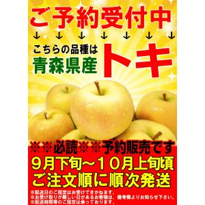 クーポンで200円引き!青森 りんご 5kg箱...の詳細画像2