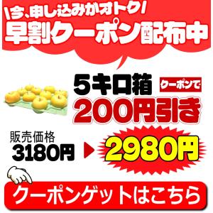クーポンで200円引き!青森 りんご 5kg箱...の詳細画像3