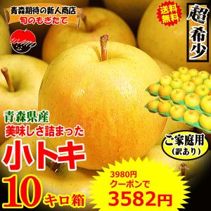 A級品・王林・10kg（10キロ）・ダンボール詰】青森県産・青