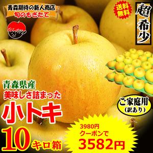 あすつく 青森 りんご 10kg箱 小トキ 送料無料 家庭用/訳あり 青森 リンゴ 訳あり 10キロ箱★小トキ 家訳 10kg箱