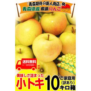 クーポンで400円引き!青森 りんご 10kg...の詳細画像1