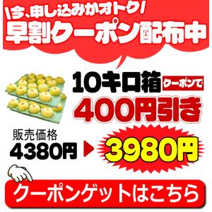 クーポンで400円引き!青森 りんご 10kg...の詳細画像3