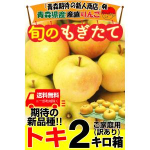 りんご 青森 2kg箱 トキ お試しに最適 ご...の詳細画像1