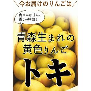 りんご 青森 2kg箱 トキ お試しに最適 ご...の詳細画像5