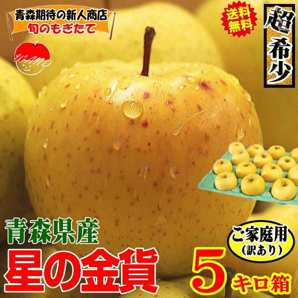 250円引き！青森 りんご 星の金貨 5kg箱 家庭用/訳あり【送料無料】青森 リンゴ 訳あり 5キ...