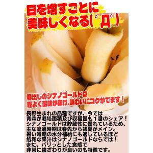 クーポンで10%引き!即日発送 青森 りんご ...の詳細画像3