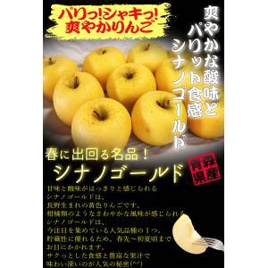 クーポンで10%引き!即日発送 青森 りんご ...の詳細画像2