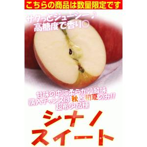 青森 りんご シナノスイート 10kg箱 家庭...の詳細画像5