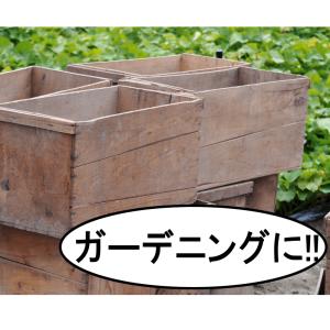 りんご木箱 USED中古×2箱セット【訳あり】...の詳細画像5