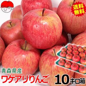 青森 りんご 10kg箱 訳あり サンふじはじめ選べる品種 送料無料 りんご 10キロ箱 ご自宅用★選べる品種 訳 10kg箱