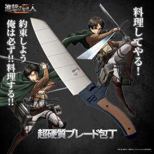 藤次郎 藤次郎作 F-816 サーモンナイフ 12吋 : キッチングッズ柳屋