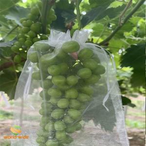 果実防虫袋 30*40cm 送料無料 50枚入...の詳細画像1
