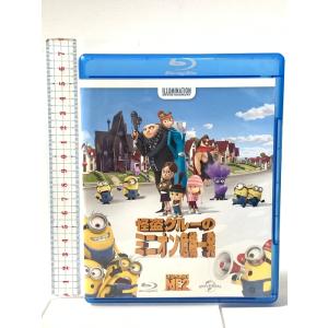 怪盗グルーのミニオン危機一発 NBCユニバーサル・エンターテイメントジャパン スティーヴ・カレル [Blu-ray]