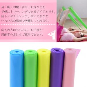 トレーニングチューブ ゴムチューブ エクササイ...の詳細画像1